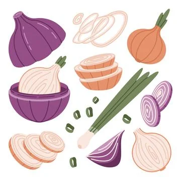 Set of onion elements. Ring, piece, half and slice of raw bulb. Vector flat.. Stock Illustration