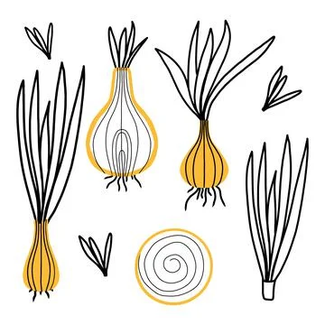 Set with onion. Stock Illustration