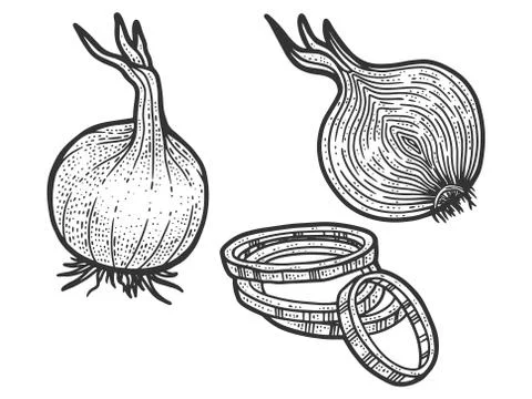 Set, onion in three types. Sketch scratch board imitation. Black and white. Stock Illustration
