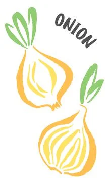 Set of onion vegetable hand painted with ink brush Stock Illustration