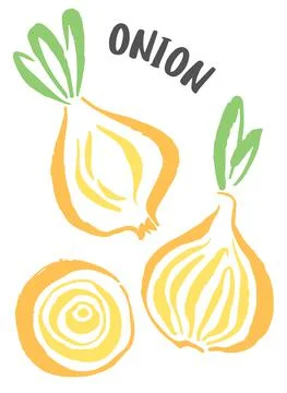 Set of onion vegetable hand painted with ink brush Stock Illustration