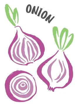 Set of onion vegetable hand painted with ink brush Stock Illustration