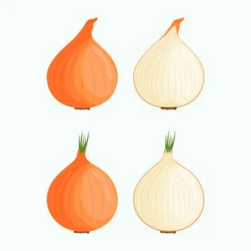 Set of onions isolated on white background. Flat vector illustration Stock Illustration