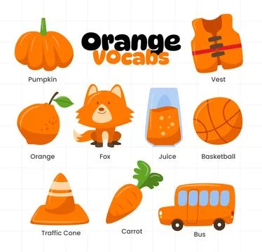 Set of orange color objects vocabulary collection, Learning colors for kids.. Stock Illustration