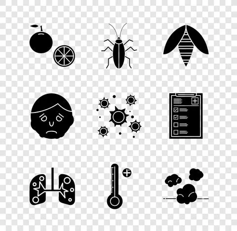 Set Orange fruit, Cockroach, Bee, Lungs, Medical digital thermometer, Dust Illustrazione stock