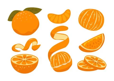 Set of Orange fruit flat icon kit collection. Segmented, sliced orange, pee.. Stock Illustration