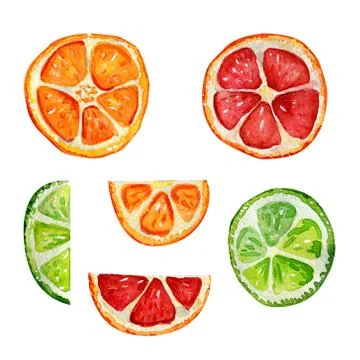 Set with orange, grapefruit and lime segments. Stock Illustration