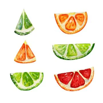 Set with orange, grapefruit and lime segments. Stock Illustration