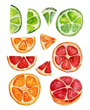 Set with orange, grapefruit and lime segments. Stock Illustration