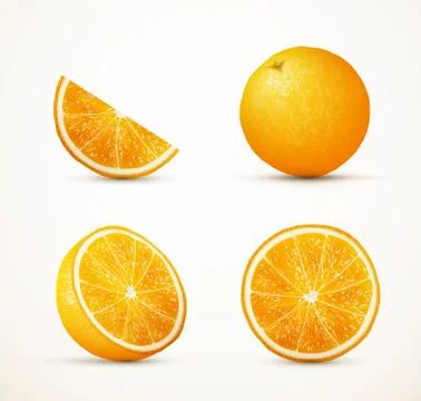 Set of oranges in different view. Illustrazione stock