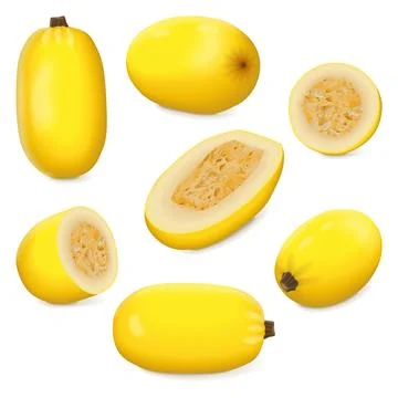 Set  of Orangetti Spaghetti Squash Stock Illustration