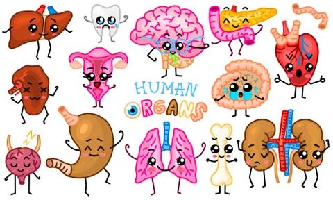 Set of organs. Cute happy human, smiling characters. Vector pins, cartoon kawaii 스톡 일러스트