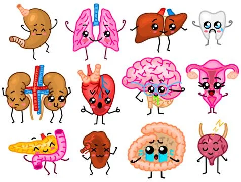 Set of organs. Cute happy human, smiling characters. Vector pins, cartoon kawaii 스톡 일러스트
