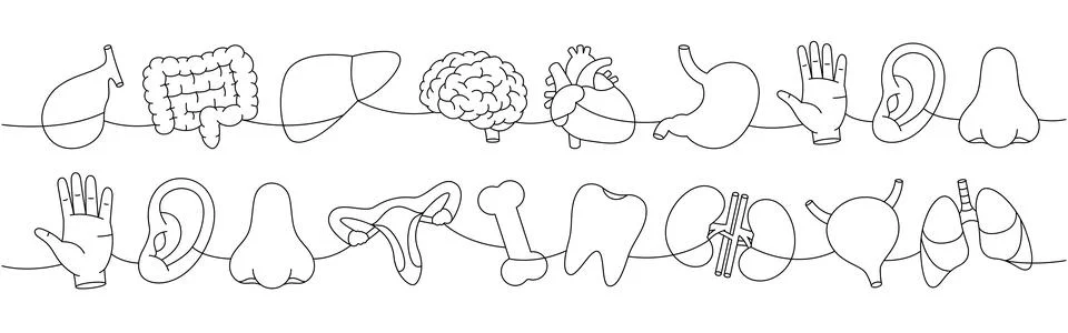 Set of organs one line continuous drawing. Heart, kidneys, tooth, brain, lungs Stock Illustration