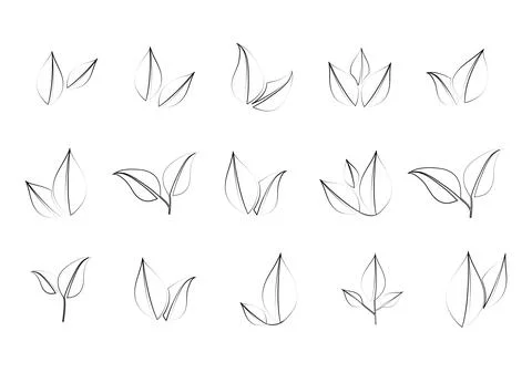 Set of outline leaves - minimalistic vector botanical clipart for logos, pa.. Stock Illustration