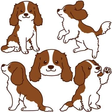 Set of outlined Brown Cavalier King Charles Spaniel illustrations Stock Illustration