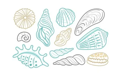 Set of outlined illustrations featuring various shell designs. These intricate Stock Illustration