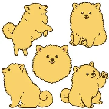 Set of outlined light brown Pomeranian illustrations Stock Illustration
