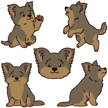 Set of outlined simple and adorable Yorkshire Terrier illustrations Stock Illustration