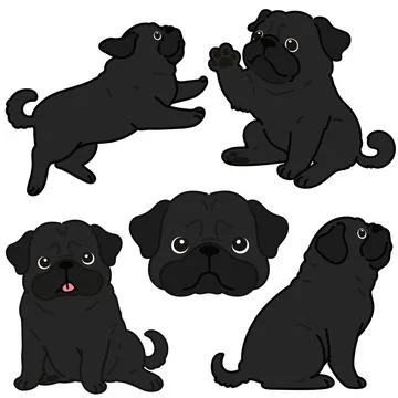 Set of outlined simple and cute black pug illustrations Stock Illustration