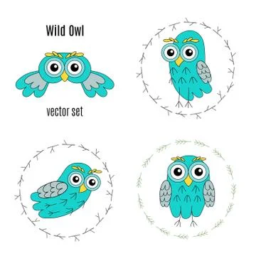 Set owl vector birds isolated on white background. Stock Illustration