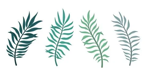 Set with palm leaves Stock Illustration