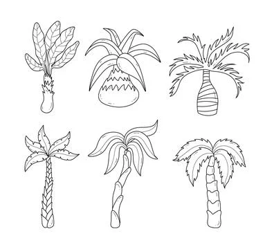 Set of Palm Tree Outline Collection, Pine Tree Line Art Jungle palm trees w.. Stock Illustration
