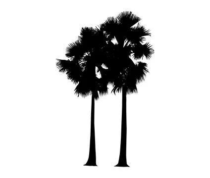 Set of palm tree silhouette vector illustration, coconut tree  vector art, Stock Illustration