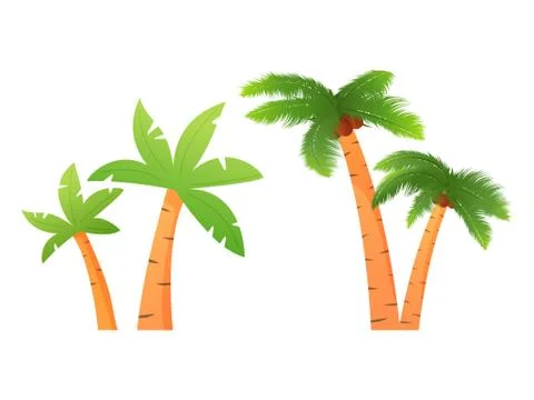 Set of palm trees with coconuts of tropical plants. Stock Illustration