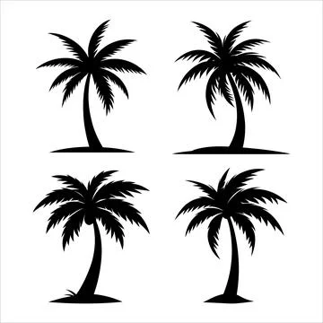A set of Palm trees vector silhouette isolated on a white background Stock Illustration
