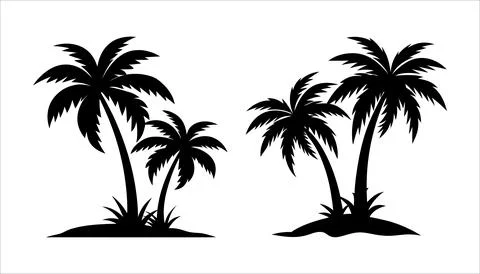 A set of Palm trees vector silhouette isolated on a white background Stock Illustration
