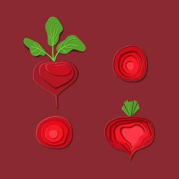 Set of paper cut red beet. Vector paper craft design in the form of ripe Stock Illustration