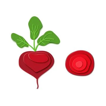 Set of paper cut red beet. Vector paper craft design in the form of ripe Stock Illustration