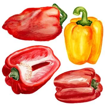Set of paprika Stock Illustration