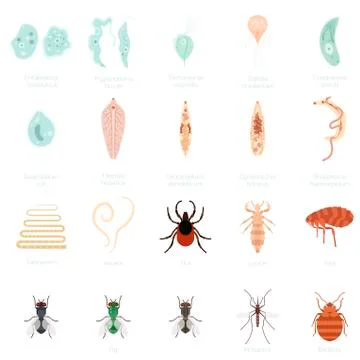 Set of parasites Stock Illustration