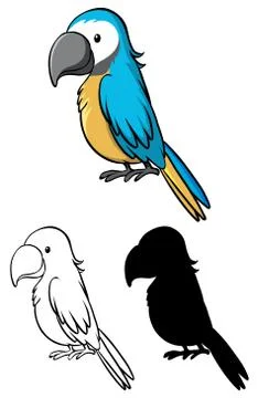 Set of parrot cartoon Illustrazione stock