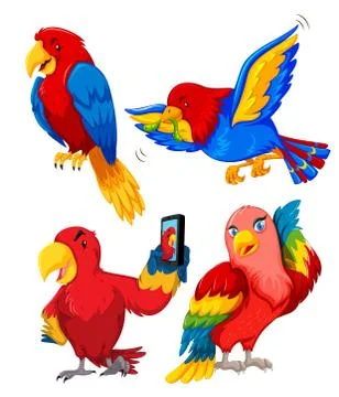 Set of parrot character Stock Illustration
