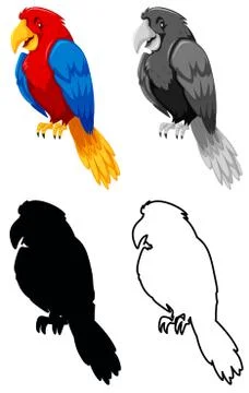 Set of parrot character Illustrazione stock