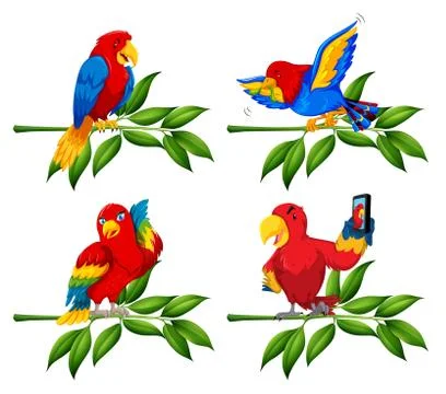 Set of parrot on tree branch Stock Illustration