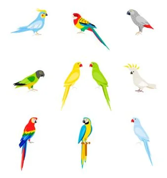 A set of parrots in a flat style. Stock Illustration