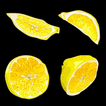 Set with parts of lemon fruit in different forms like slices and halves Stock Illustration