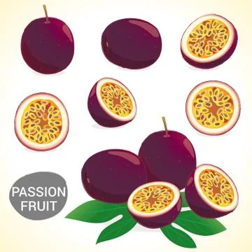 Set of passionfruit in various styles vector format Stock Illustration