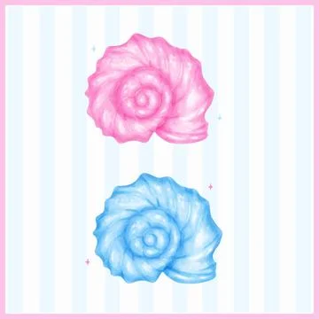 Set of Pastel Curl Conch Seashell Blue and Pink Watercolor Sea Shell Stock Illustration