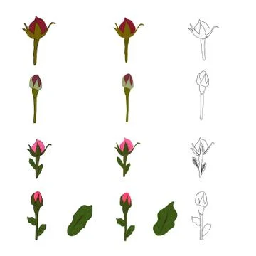 Set of patterns of a bud of a tulip Stock-Illustration