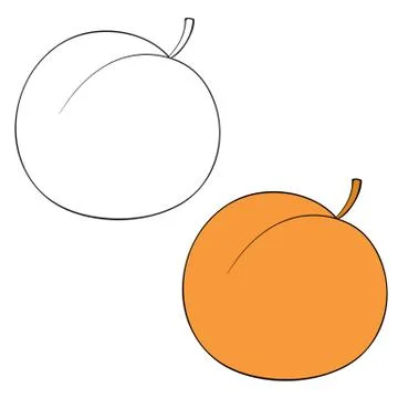 Set of peach drawn in black lines and painted, isolated object on a white Stock Illustration