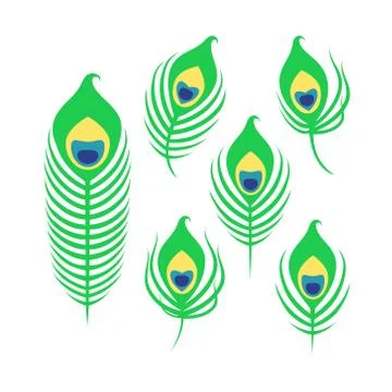 Set of peacock feathers Stock Illustration