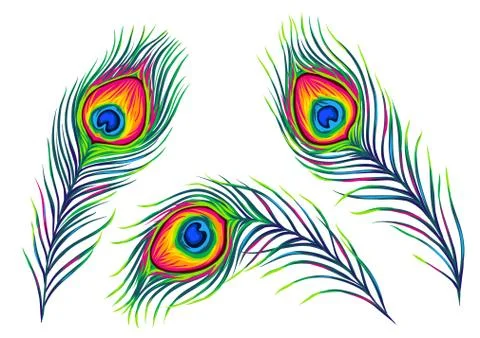 Set of peacock feathers. Stock Illustration
