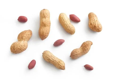 Set of peanut Stock Photos