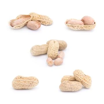 Set of peanuts isolated on the white background Stock Photos
