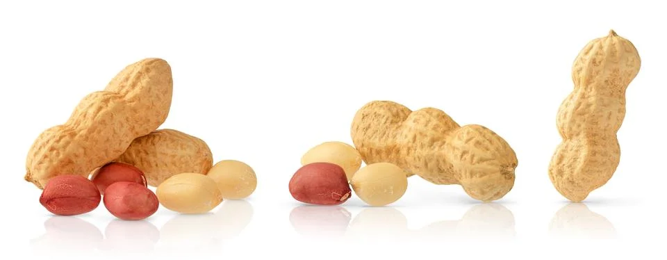 Set of peanuts isolated on white background with clipping path. Stock Photos
